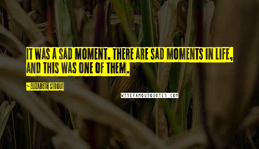 Elizabeth Strout Quotes: It was a sad moment. There are sad moments in life, and this was one of them.