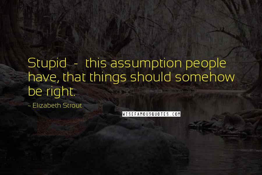 Elizabeth Strout Quotes: Stupid - this assumption people have, that things should somehow be right.