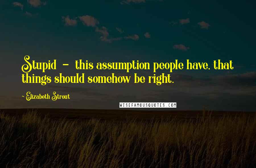 Elizabeth Strout Quotes: Stupid - this assumption people have, that things should somehow be right.