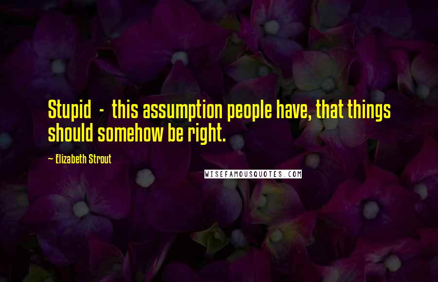 Elizabeth Strout Quotes: Stupid - this assumption people have, that things should somehow be right.