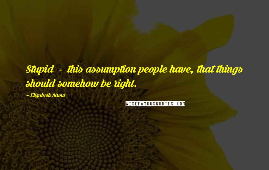 Elizabeth Strout Quotes: Stupid - this assumption people have, that things should somehow be right.