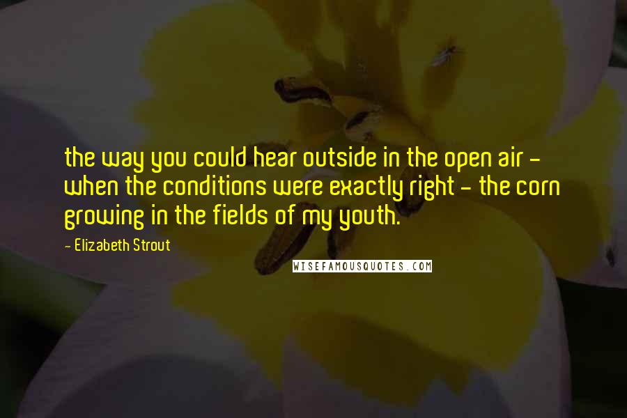 Elizabeth Strout Quotes: the way you could hear outside in the open air - when the conditions were exactly right - the corn growing in the fields of my youth.