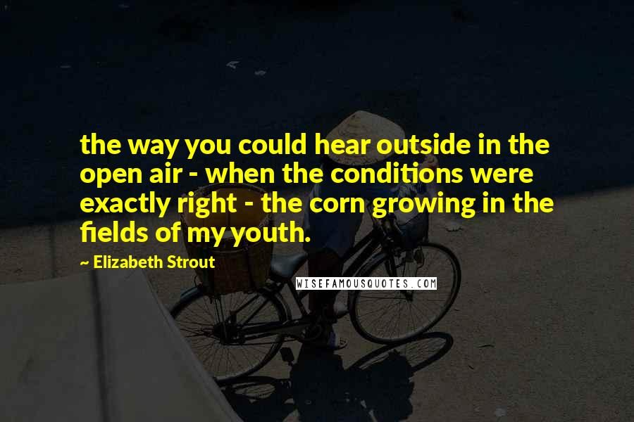 Elizabeth Strout Quotes: the way you could hear outside in the open air - when the conditions were exactly right - the corn growing in the fields of my youth.