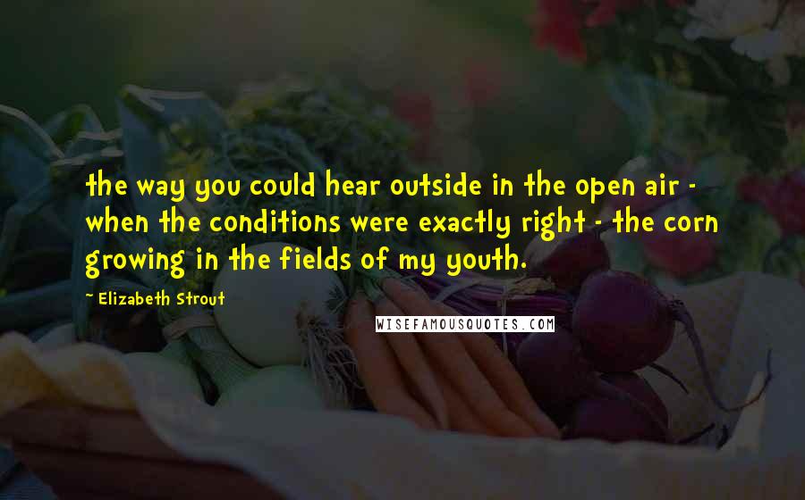 Elizabeth Strout Quotes: the way you could hear outside in the open air - when the conditions were exactly right - the corn growing in the fields of my youth.