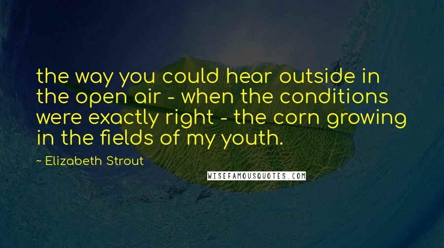 Elizabeth Strout Quotes: the way you could hear outside in the open air - when the conditions were exactly right - the corn growing in the fields of my youth.