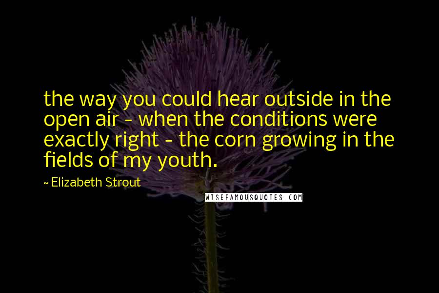 Elizabeth Strout Quotes: the way you could hear outside in the open air - when the conditions were exactly right - the corn growing in the fields of my youth.