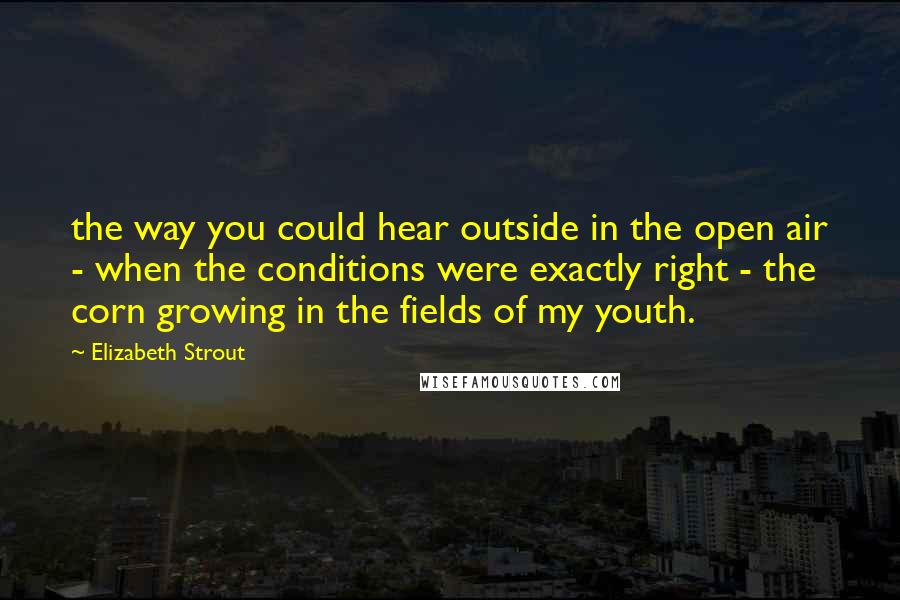 Elizabeth Strout Quotes: the way you could hear outside in the open air - when the conditions were exactly right - the corn growing in the fields of my youth.