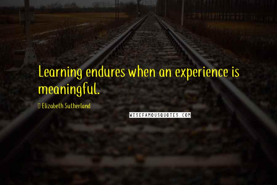 Elizabeth Sutherland Quotes: Learning endures when an experience is meaningful.