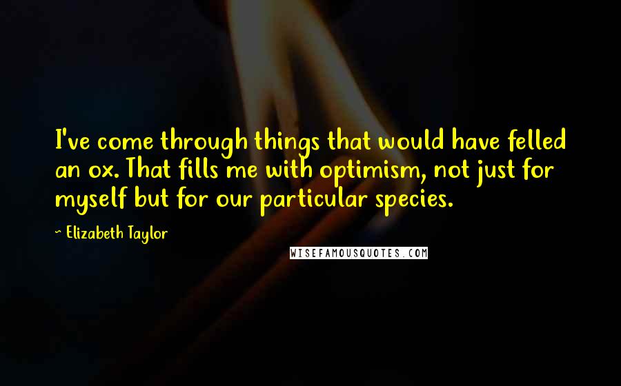 Elizabeth Taylor Quotes: I've come through things that would have felled an ox. That fills me with optimism, not just for myself but for our particular species.