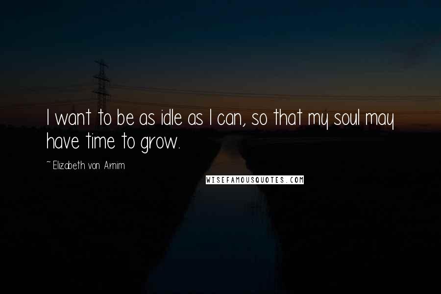 Elizabeth Von Arnim Quotes: I want to be as idle as I can, so that my soul may have time to grow.