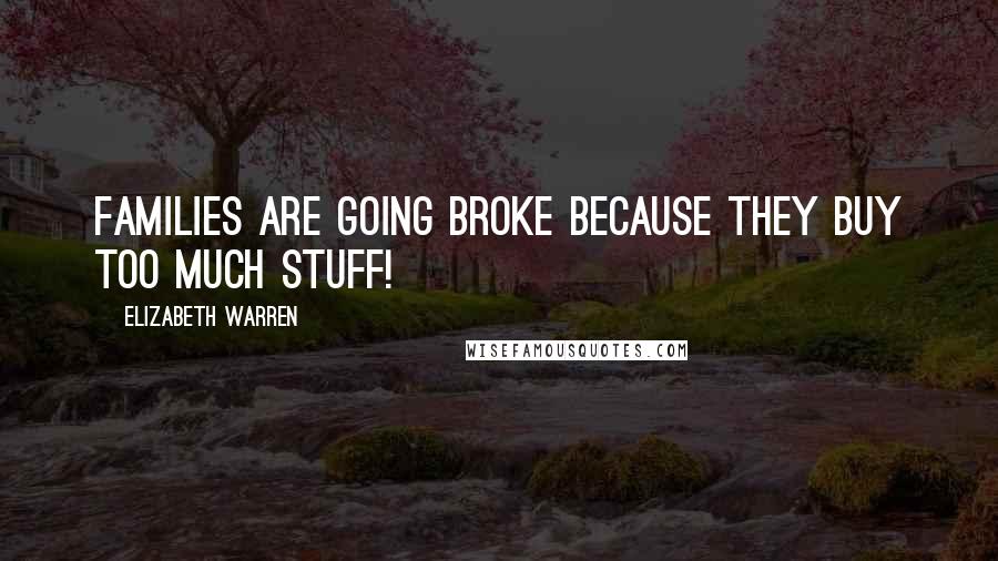 Elizabeth Warren Quotes: Families are going broke because they buy too much stuff!