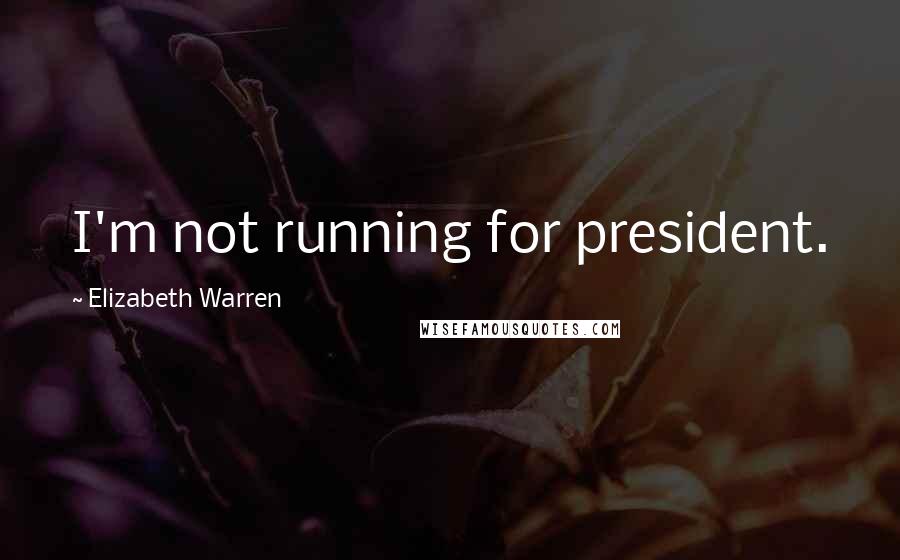 Elizabeth Warren Quotes: I'm not running for president.