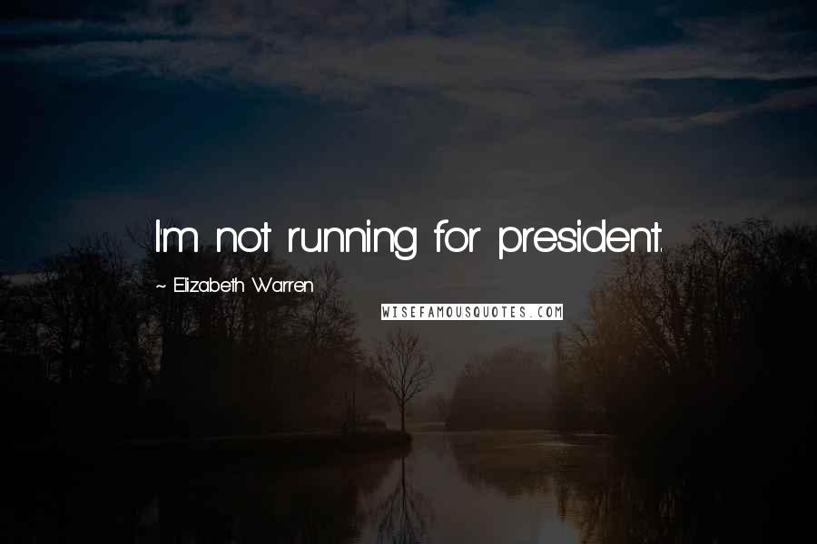 Elizabeth Warren Quotes: I'm not running for president.