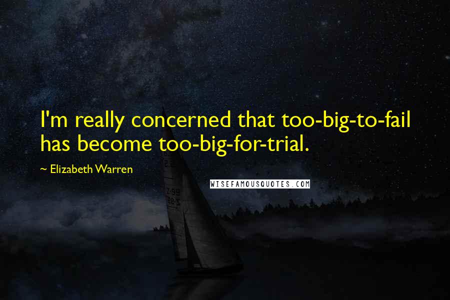 Elizabeth Warren Quotes: I'm really concerned that too-big-to-fail has become too-big-for-trial.