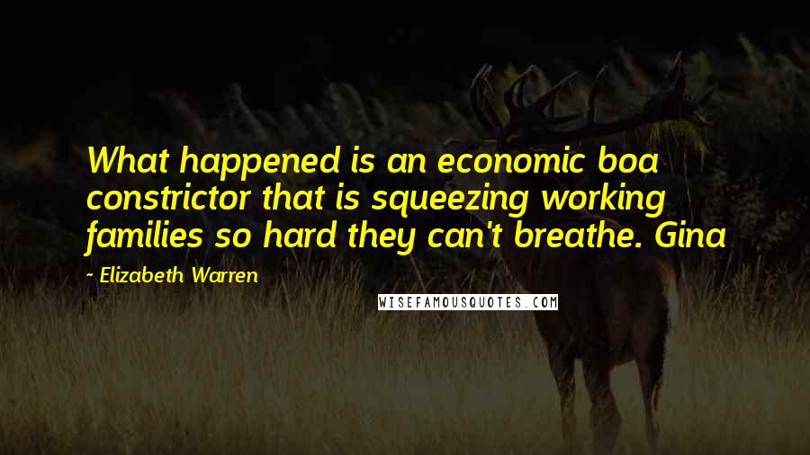 Elizabeth Warren Quotes: What happened is an economic boa constrictor that is squeezing working families so hard they can't breathe. Gina