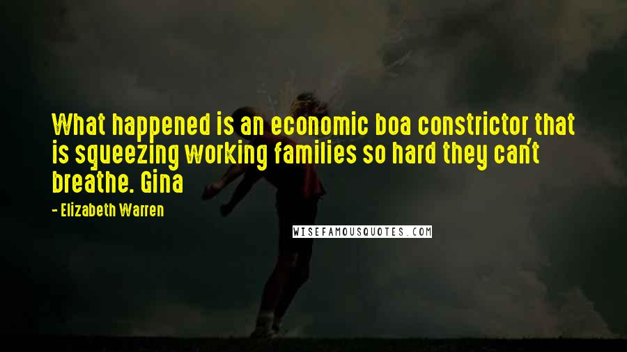 Elizabeth Warren Quotes: What happened is an economic boa constrictor that is squeezing working families so hard they can't breathe. Gina