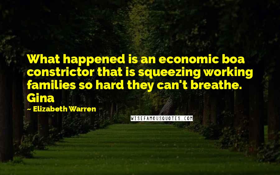 Elizabeth Warren Quotes: What happened is an economic boa constrictor that is squeezing working families so hard they can't breathe. Gina