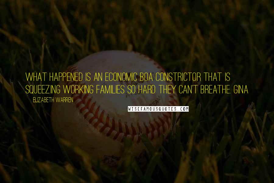 Elizabeth Warren Quotes: What happened is an economic boa constrictor that is squeezing working families so hard they can't breathe. Gina
