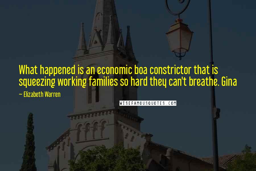 Elizabeth Warren Quotes: What happened is an economic boa constrictor that is squeezing working families so hard they can't breathe. Gina