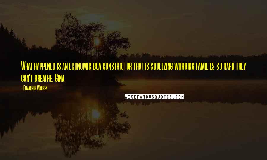 Elizabeth Warren Quotes: What happened is an economic boa constrictor that is squeezing working families so hard they can't breathe. Gina