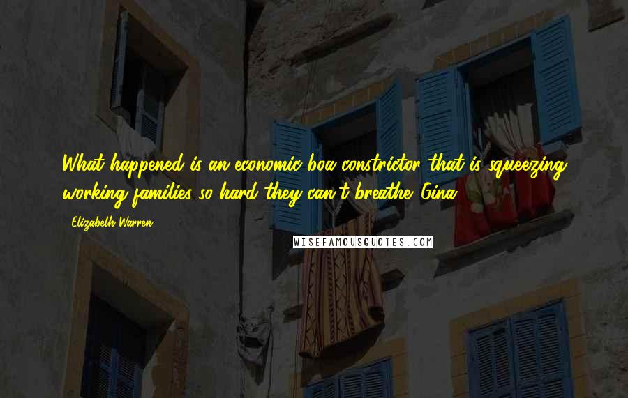 Elizabeth Warren Quotes: What happened is an economic boa constrictor that is squeezing working families so hard they can't breathe. Gina
