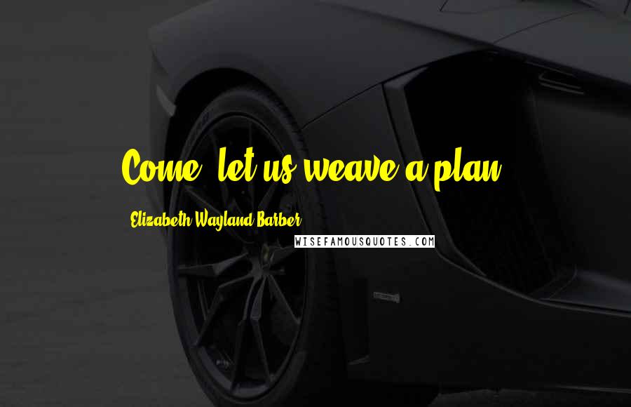 Elizabeth Wayland Barber Quotes: Come, let us weave a plan!