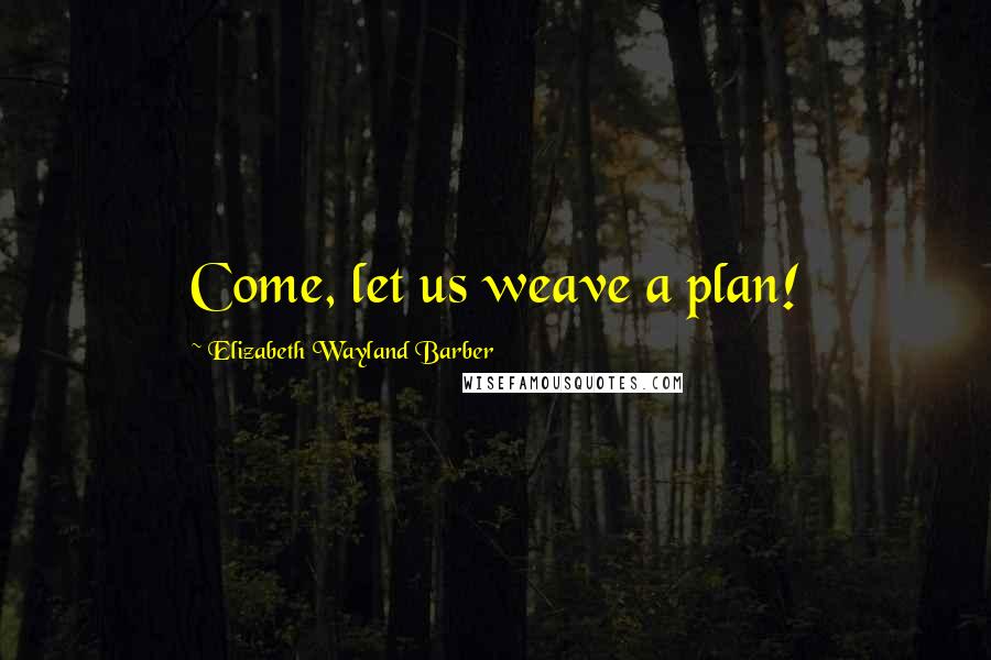 Elizabeth Wayland Barber Quotes: Come, let us weave a plan!
