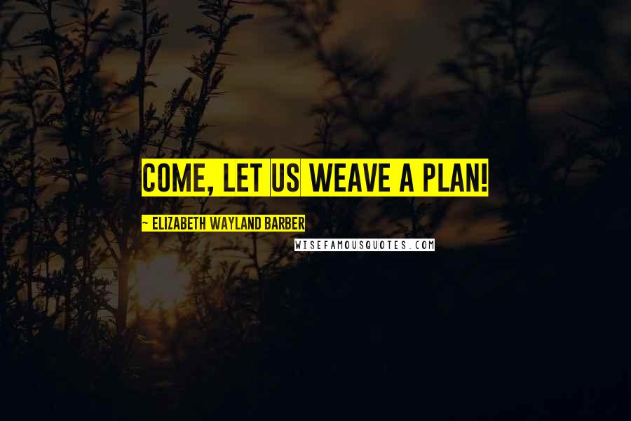 Elizabeth Wayland Barber Quotes: Come, let us weave a plan!