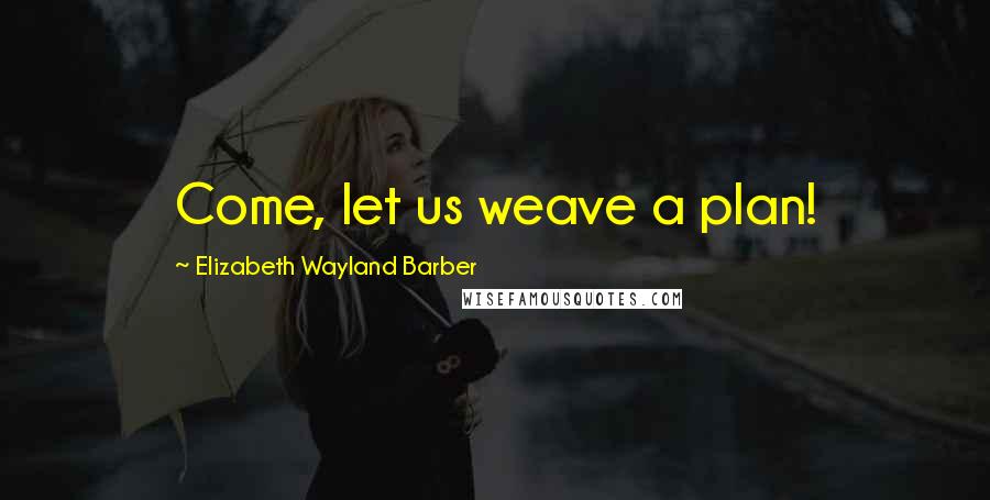 Elizabeth Wayland Barber Quotes: Come, let us weave a plan!