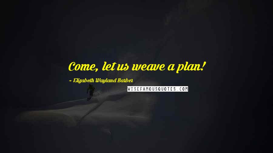 Elizabeth Wayland Barber Quotes: Come, let us weave a plan!