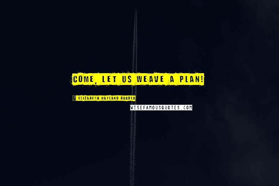 Elizabeth Wayland Barber Quotes: Come, let us weave a plan!