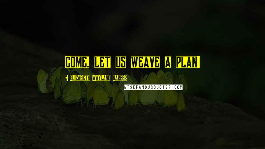 Elizabeth Wayland Barber Quotes: Come, let us weave a plan!