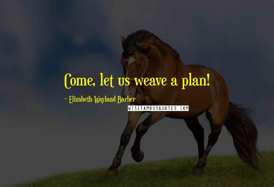 Elizabeth Wayland Barber Quotes: Come, let us weave a plan!