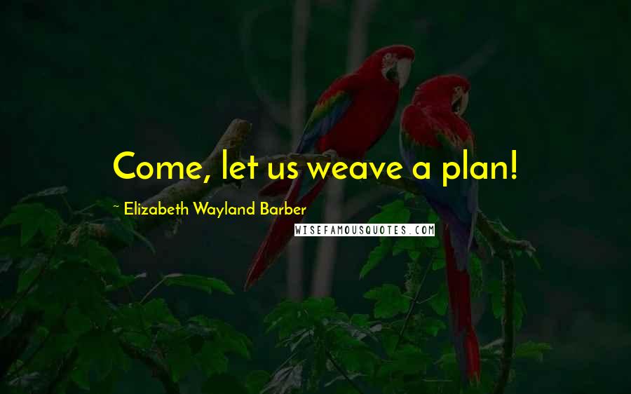 Elizabeth Wayland Barber Quotes: Come, let us weave a plan!