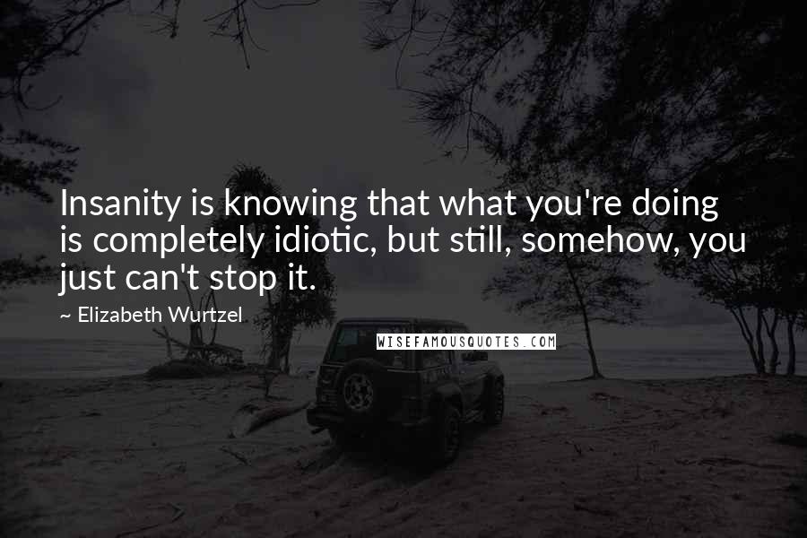 Elizabeth Wurtzel Quotes: Insanity is knowing that what you're doing is completely idiotic, but still, somehow, you just can't stop it.