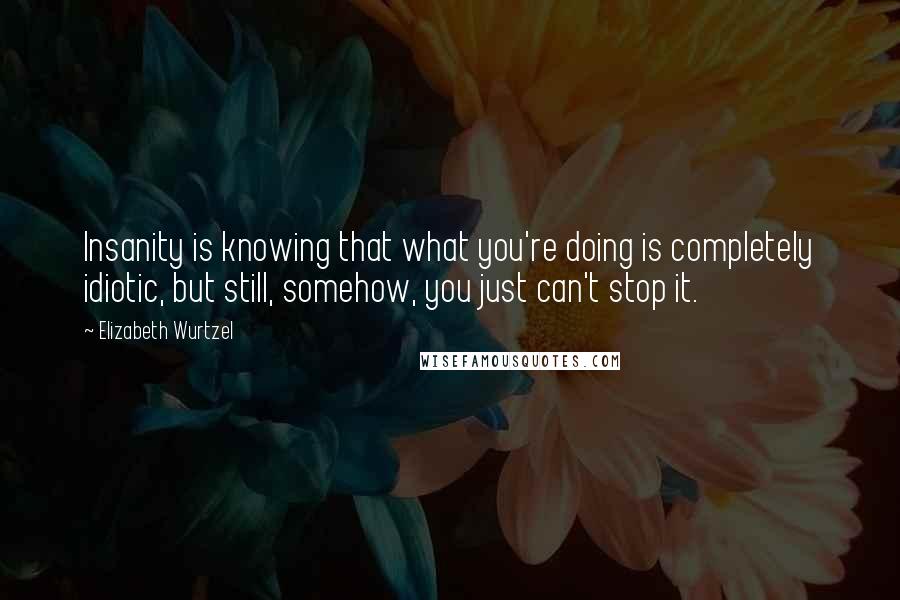 Elizabeth Wurtzel Quotes: Insanity is knowing that what you're doing is completely idiotic, but still, somehow, you just can't stop it.