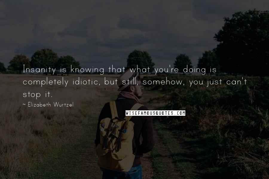 Elizabeth Wurtzel Quotes: Insanity is knowing that what you're doing is completely idiotic, but still, somehow, you just can't stop it.