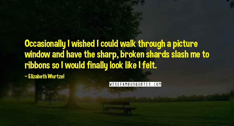 Elizabeth Wurtzel Quotes: Occasionally I wished I could walk through a picture window and have the sharp, broken shards slash me to ribbons so I would finally look like I felt.