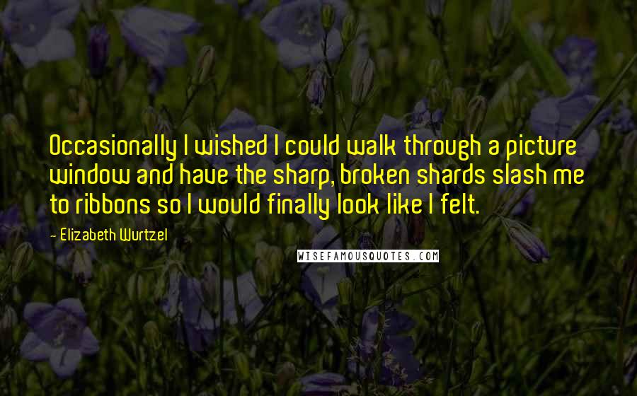 Elizabeth Wurtzel Quotes: Occasionally I wished I could walk through a picture window and have the sharp, broken shards slash me to ribbons so I would finally look like I felt.