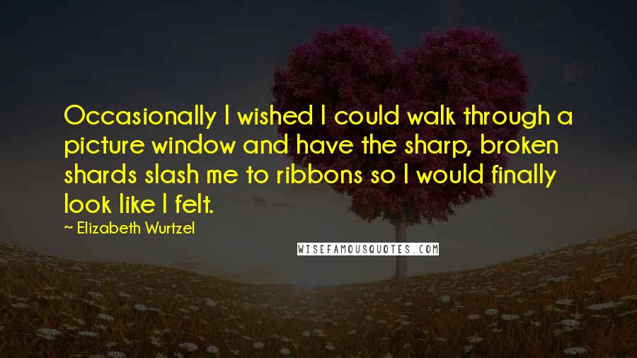 Elizabeth Wurtzel Quotes: Occasionally I wished I could walk through a picture window and have the sharp, broken shards slash me to ribbons so I would finally look like I felt.