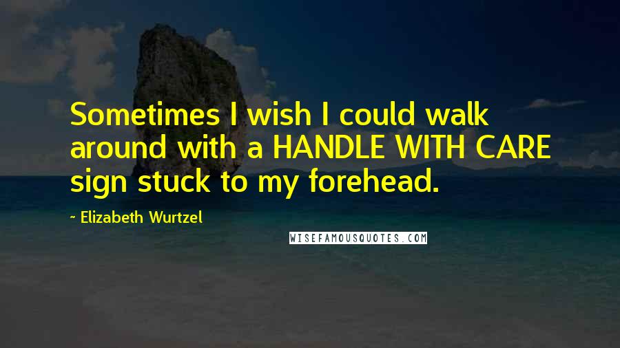 Elizabeth Wurtzel Quotes: Sometimes I wish I could walk around with a HANDLE WITH CARE sign stuck to my forehead.