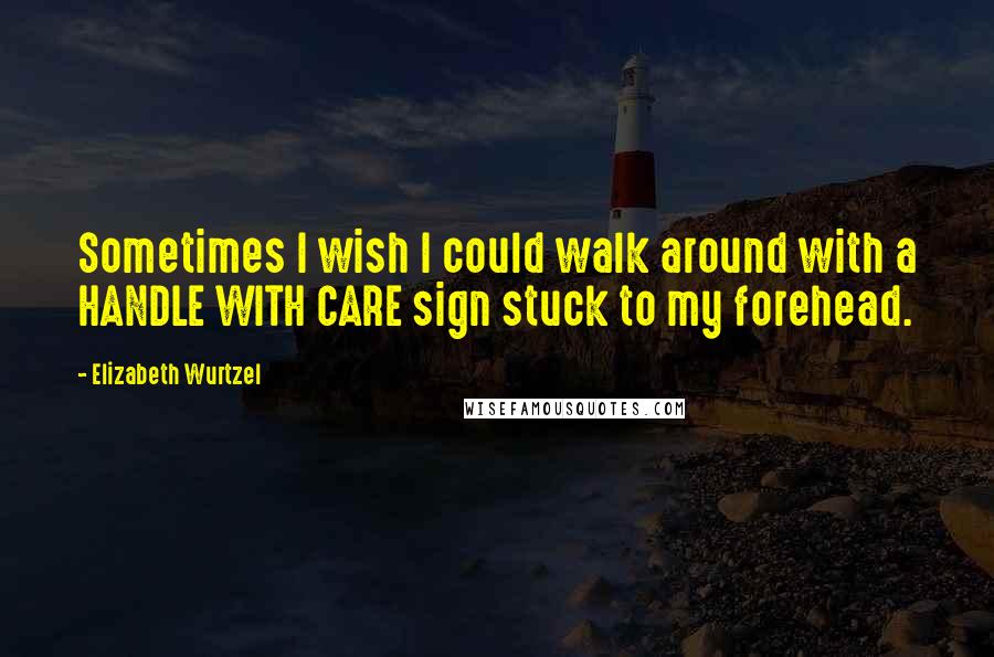 Elizabeth Wurtzel Quotes: Sometimes I wish I could walk around with a HANDLE WITH CARE sign stuck to my forehead.