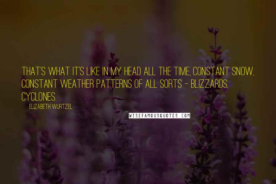 Elizabeth Wurtzel Quotes: That's what it's like in my head all the time, constant snow, constant weather patterns of all sorts - blizzards, cyclones.