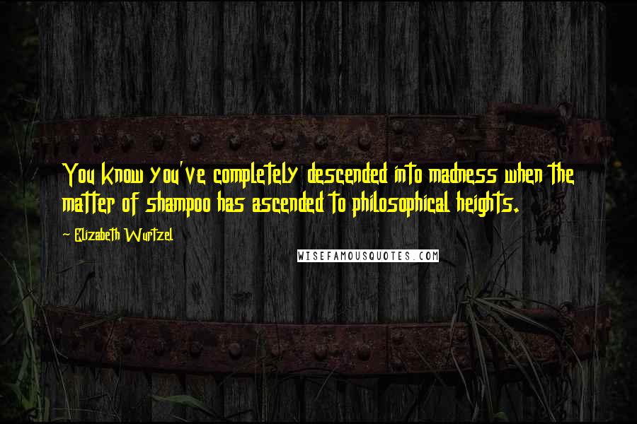 Elizabeth Wurtzel Quotes: You know you've completely descended into madness when the matter of shampoo has ascended to philosophical heights.