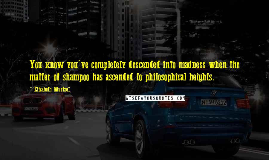 Elizabeth Wurtzel Quotes: You know you've completely descended into madness when the matter of shampoo has ascended to philosophical heights.