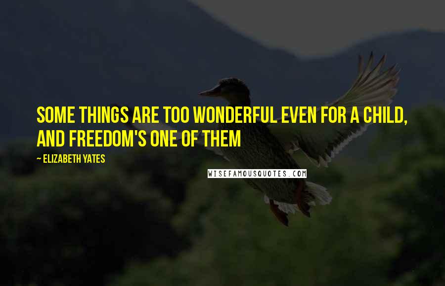 Elizabeth Yates Quotes: some things are too wonderful even for a child, and freedom's one of them