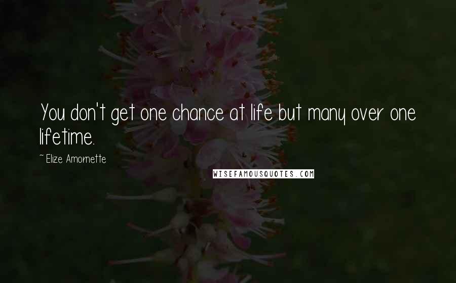 Elize Amornette Quotes: You don't get one chance at life but many over one lifetime.