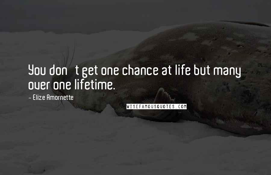 Elize Amornette Quotes: You don't get one chance at life but many over one lifetime.