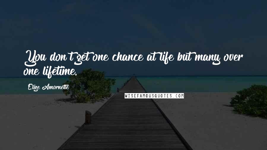 Elize Amornette Quotes: You don't get one chance at life but many over one lifetime.