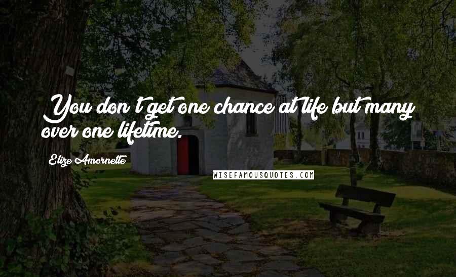 Elize Amornette Quotes: You don't get one chance at life but many over one lifetime.